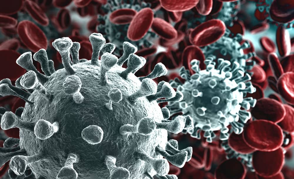 Coronavirus, stop alle gite scolastiche in Italia e all'Estero