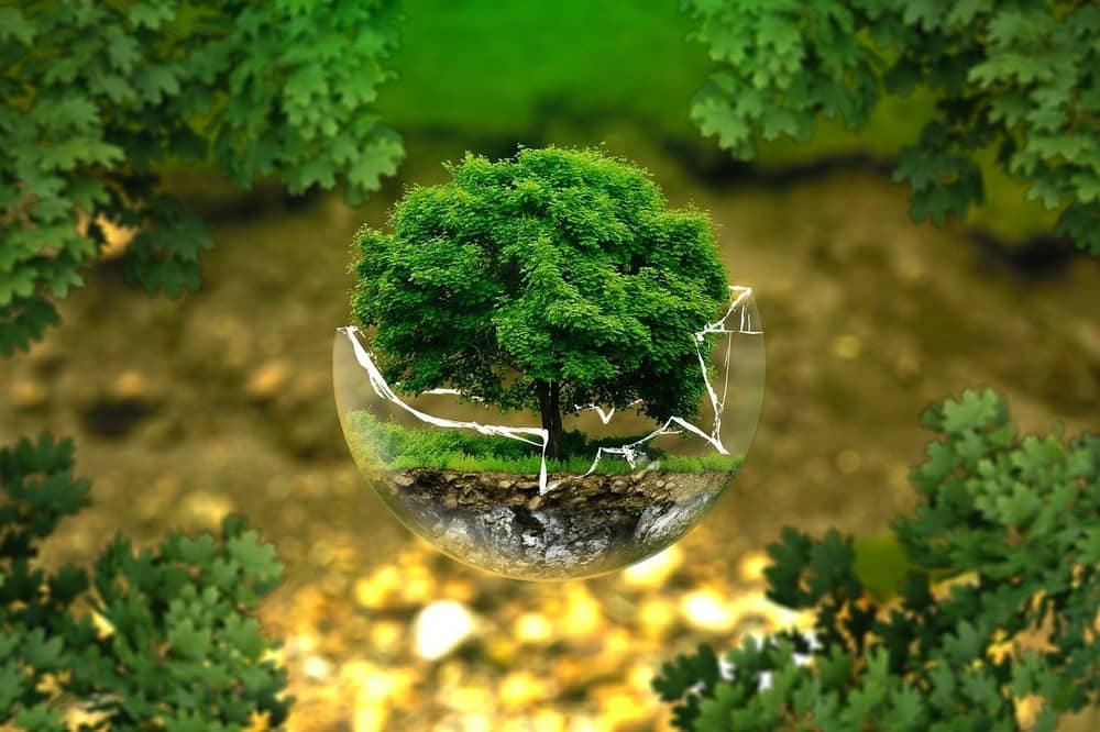 Giornata Mondiale dell'Ambiente 2022: domenica 5 giugno