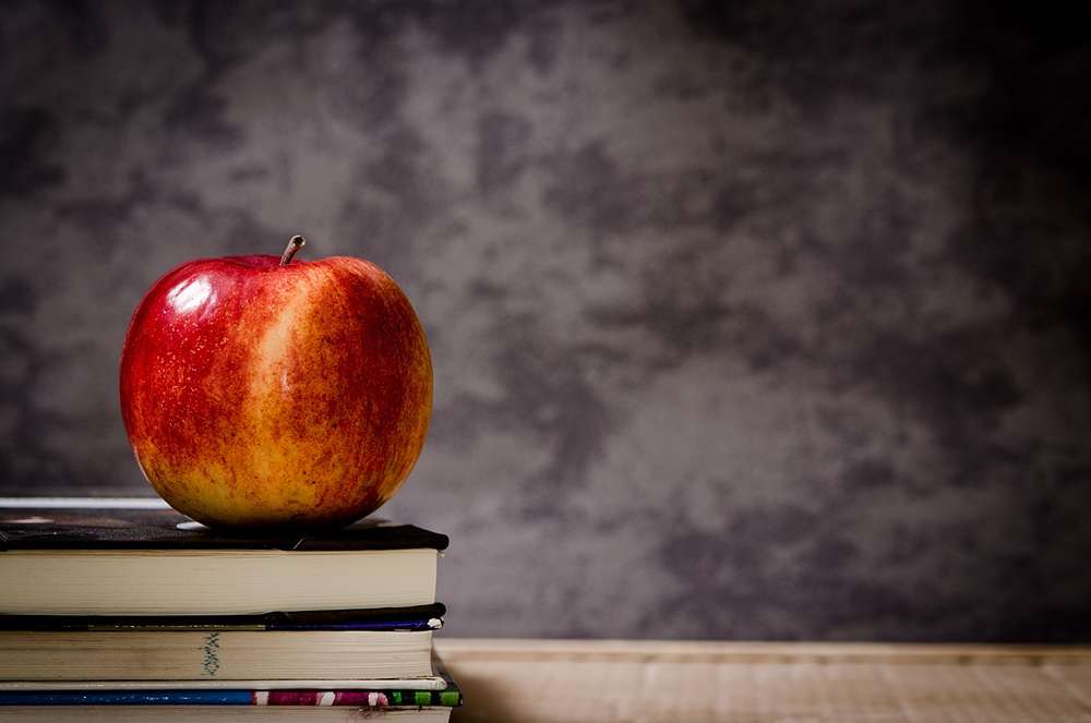 Iscrizioni Scuola 2024/25, domande dal 18 gennaio e dal 23 per il Liceo Made in Italy